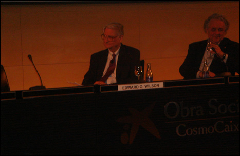 WilsonWagensbergCosmoCaixa